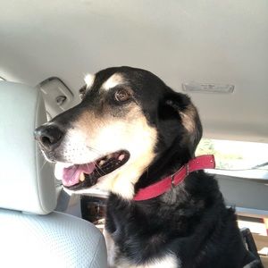 Meet your Posher, Jakob